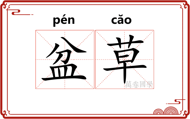 盆草
