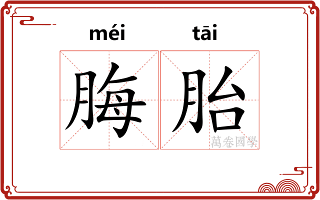 脢胎