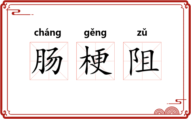 肠梗阻 肠梗阻