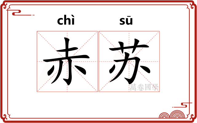 赤苏 赤苏