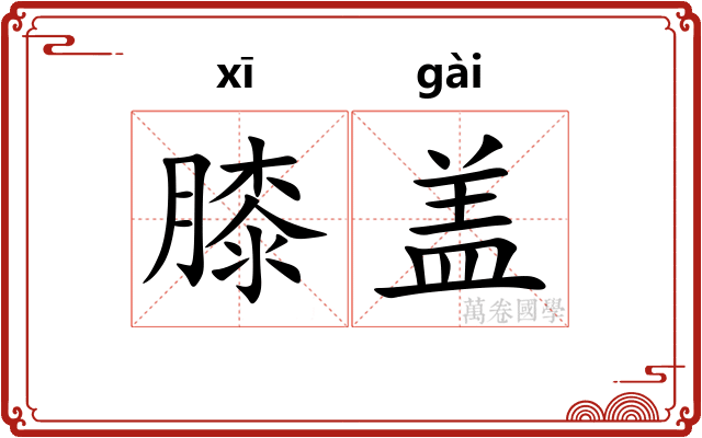 膝盖