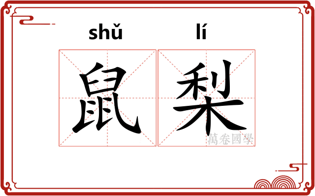 鼠梨
