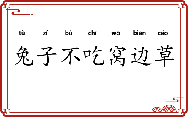 兔子不吃窝边草 兔子不吃窝边草