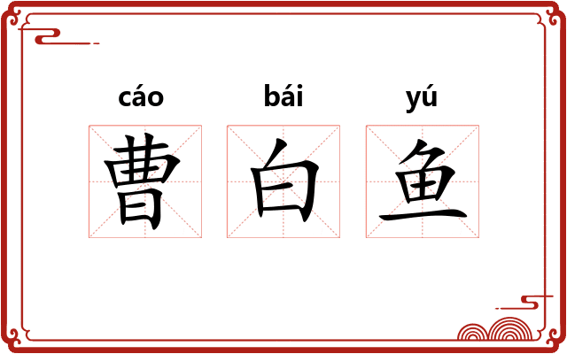 曹白鱼
