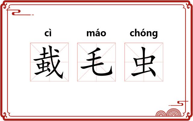 蛓毛虫 蛓毛虫