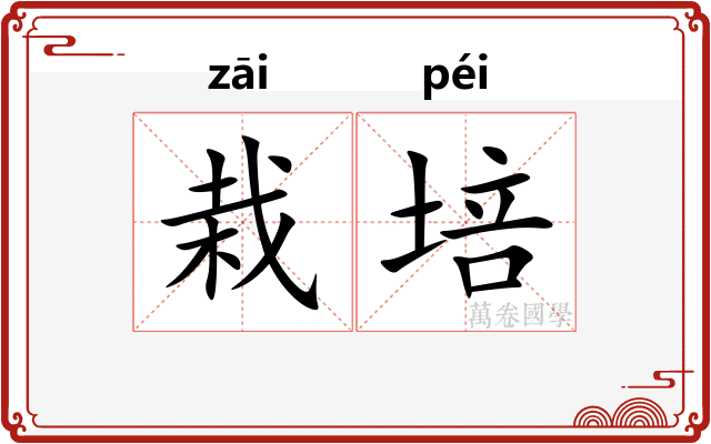 栽培