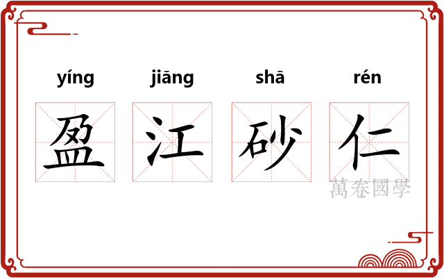 盈江砂仁