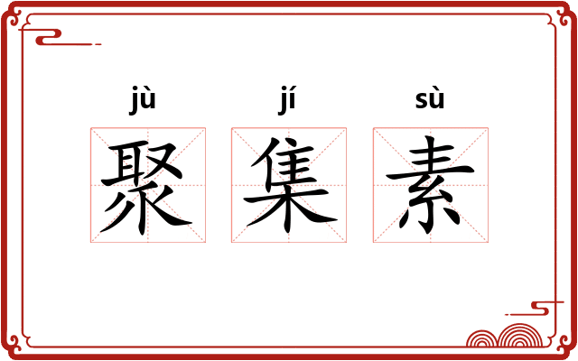 聚集素 聚集素