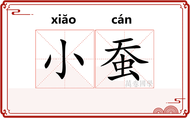 小蚕 小蚕