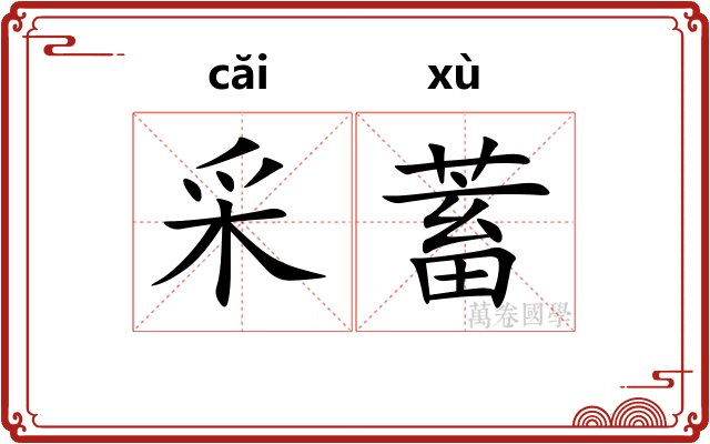 采蓄