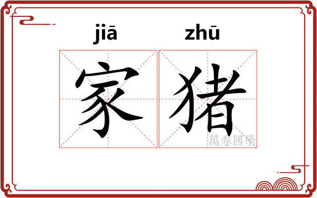 家猪