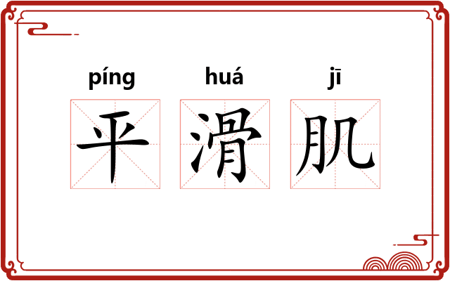 平滑肌 平滑肌
