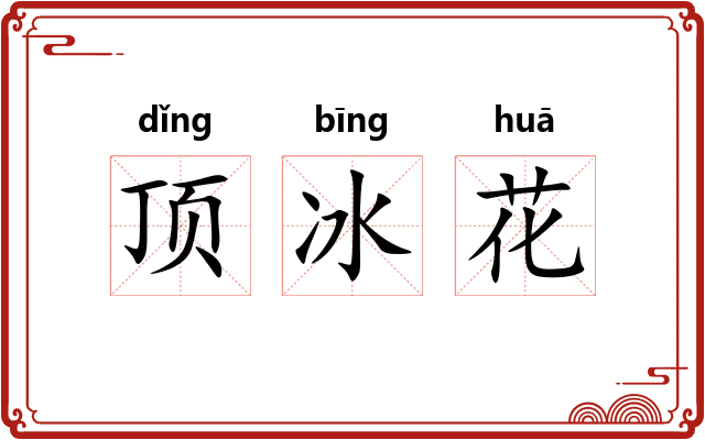 顶冰花