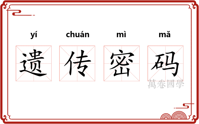 遗传密码