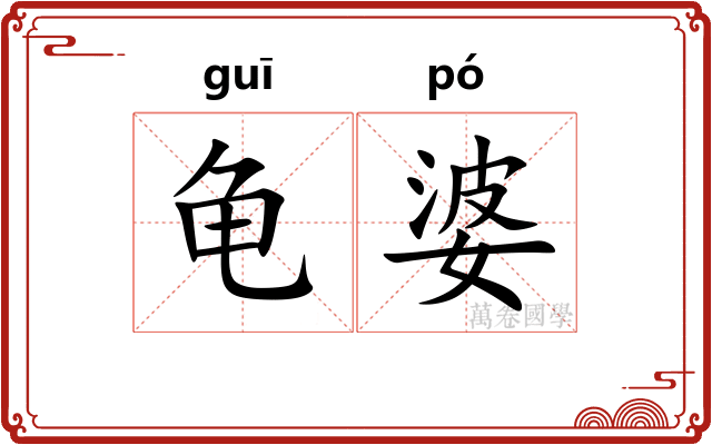 龟婆