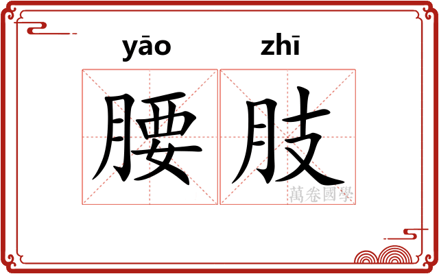 腰肢 腰肢