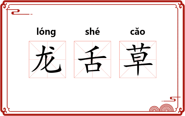龙舌草