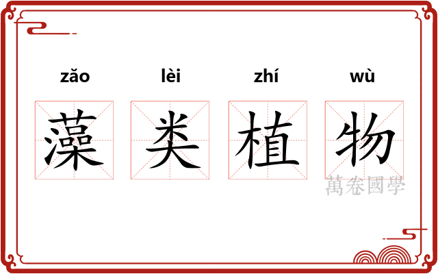 藻类植物