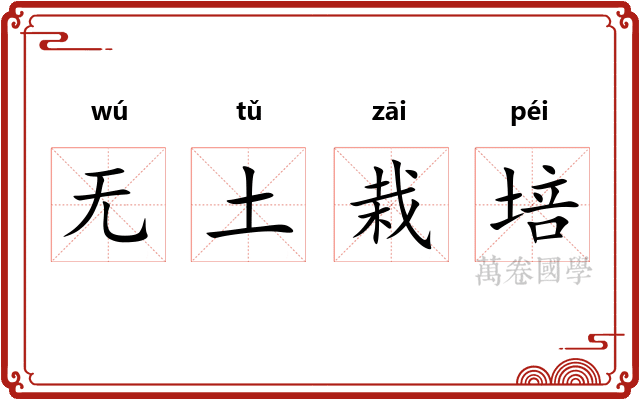无土栽培