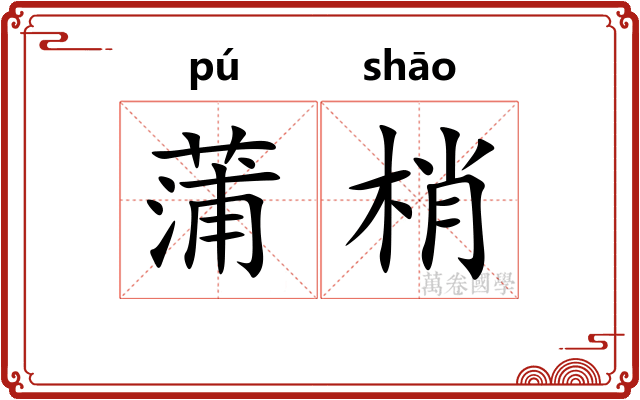 蒲梢