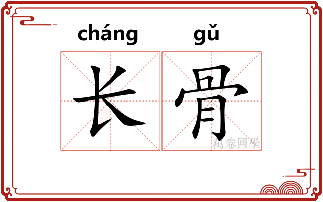长骨