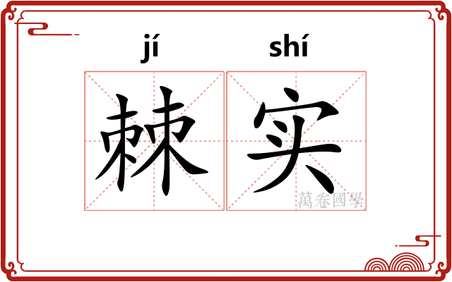 棘实
