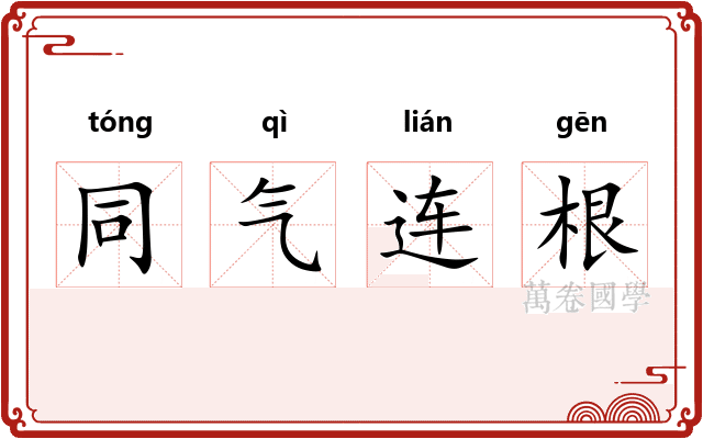 同气连根 同气连根