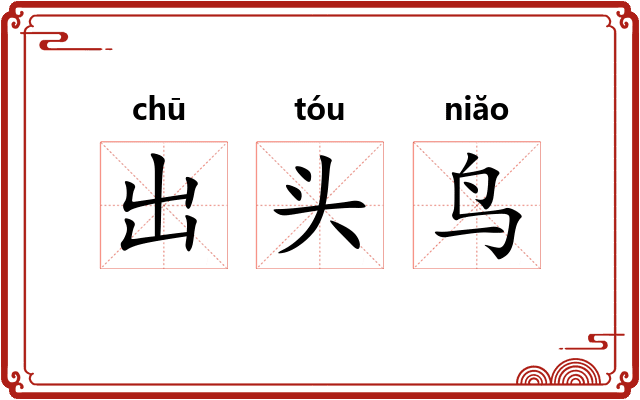 出头鸟