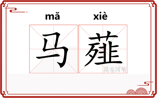 马薤