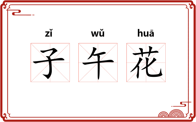 子午花 子午花