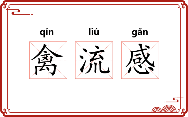 禽流感 禽流感