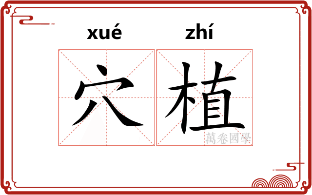 穴植