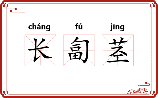 长匐茎