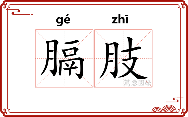 膈肢