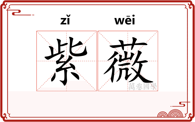 紫薇