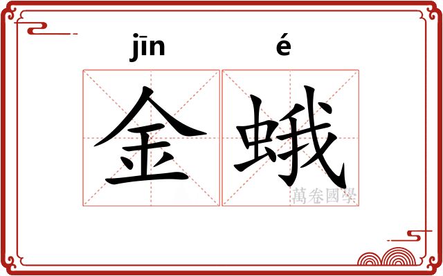 金蛾