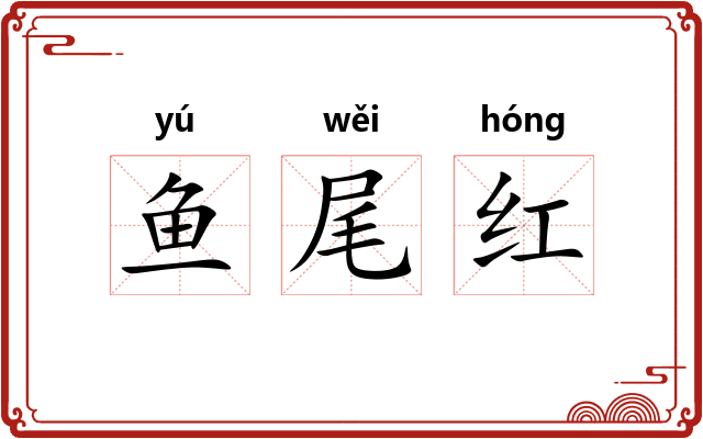 鱼尾红