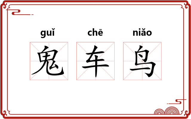 鬼车鸟 鬼车鸟