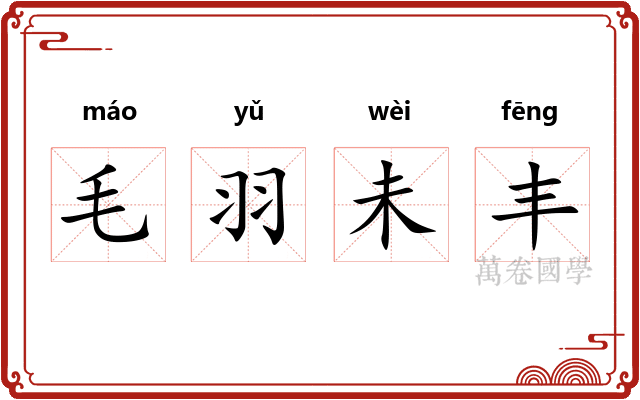 毛羽未丰 毛羽未丰