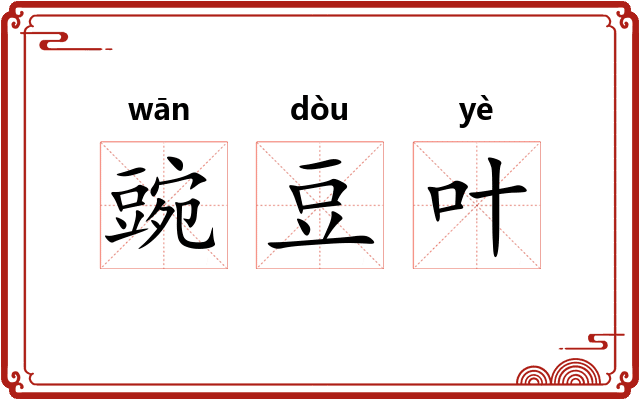 豌豆叶 豌豆叶