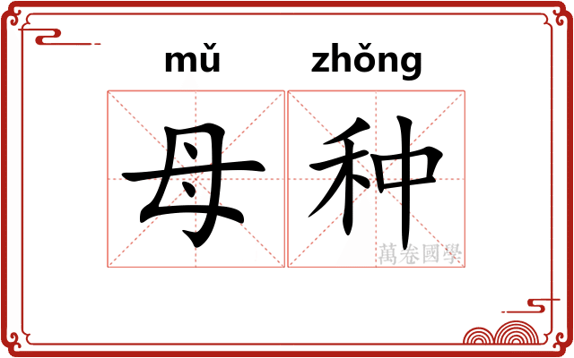 母种 母种