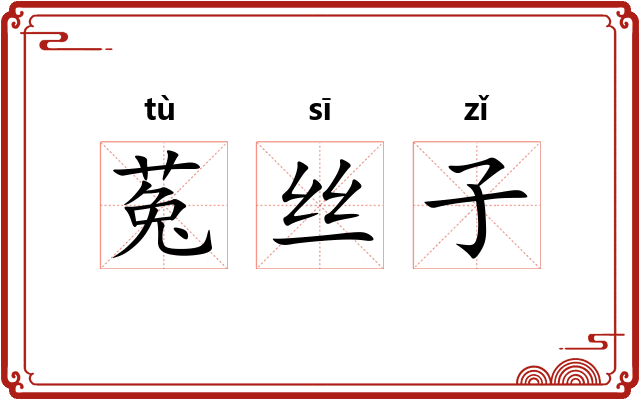 菟丝子 菟丝子