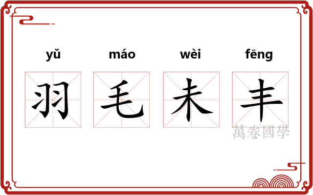 羽毛未丰