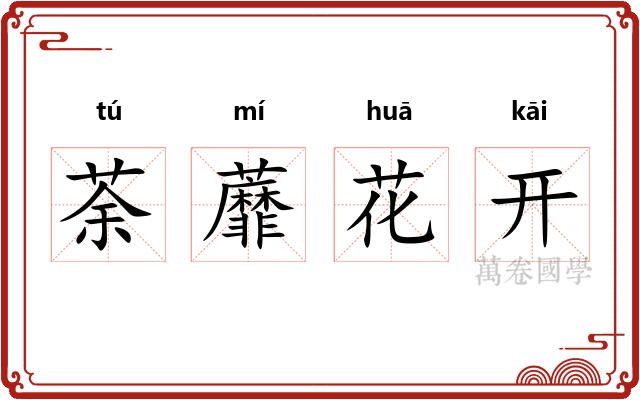 荼蘼花开