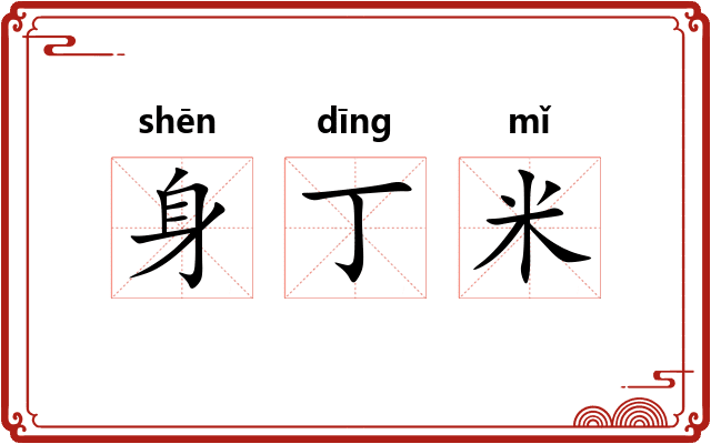 身丁米