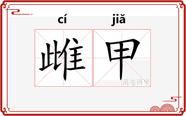 雌甲