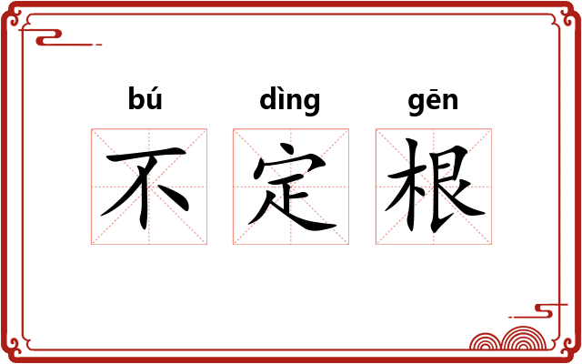 不定根