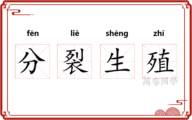 分裂生殖