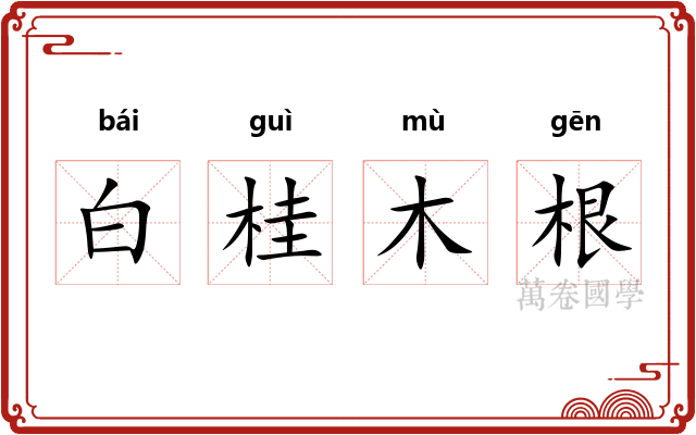 白桂木根