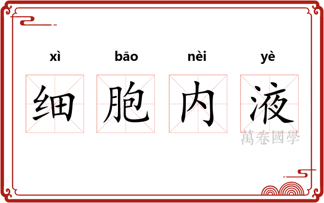 细胞内液